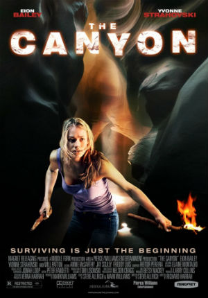 Каньон (2009)